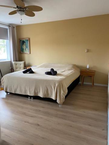 Sunnystay 43 Middelburg Kültér fotó